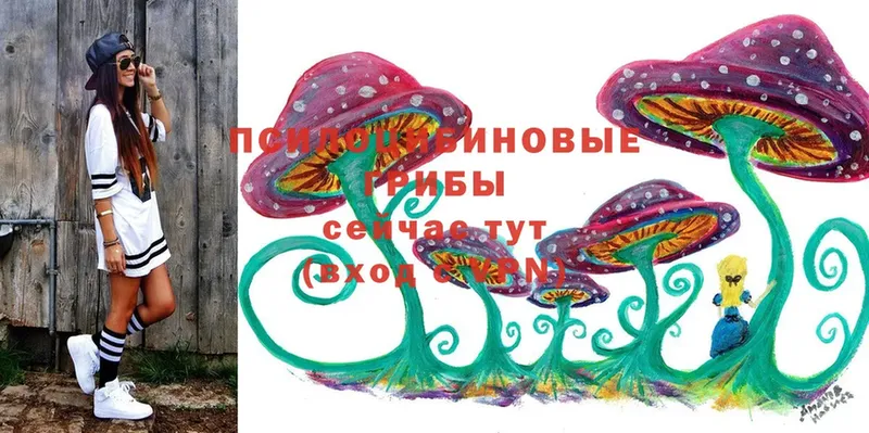 Псилоцибиновые грибы Cubensis  это как зайти  Богородск 